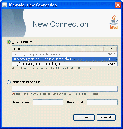 The dialog window for creating connections to local processes